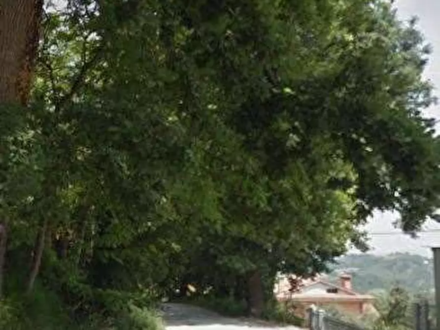 Immagine 7 di Appartamento in vendita  in Via del Mulino a Montottone