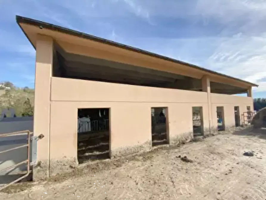 Immagine 6 di Capannone industriale in vendita  in Località Serraspinosa a Pergola
