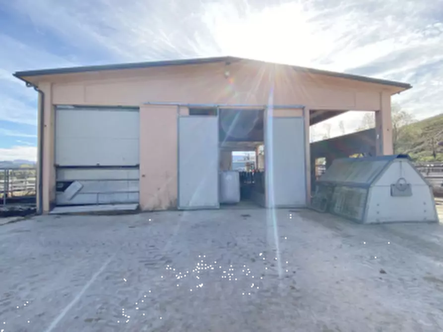 Immagine 13 di Capannone industriale in vendita  in Località Serraspinosa a Pergola