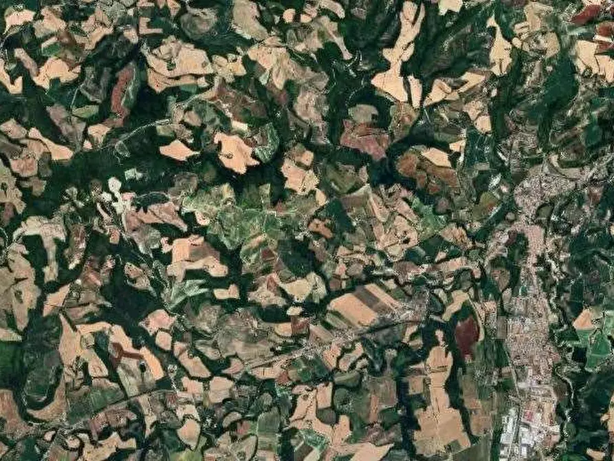 Immagine 10 di Capannone industriale in vendita  in Località Serraspinosa a Pergola