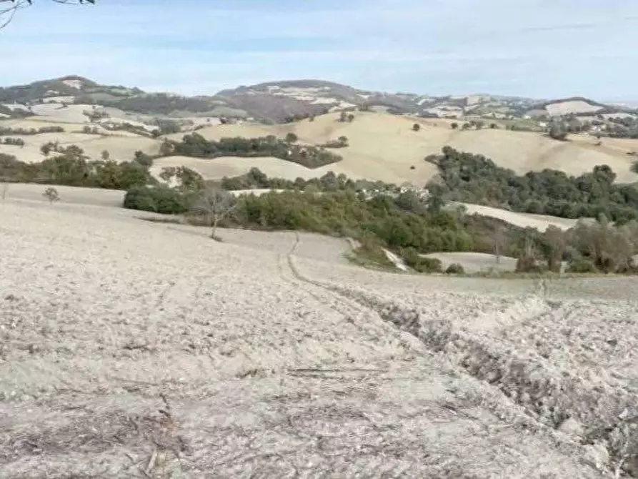 Immagine 5 di Magazzino in vendita  in Località Borghetto Fenigli a Pergola