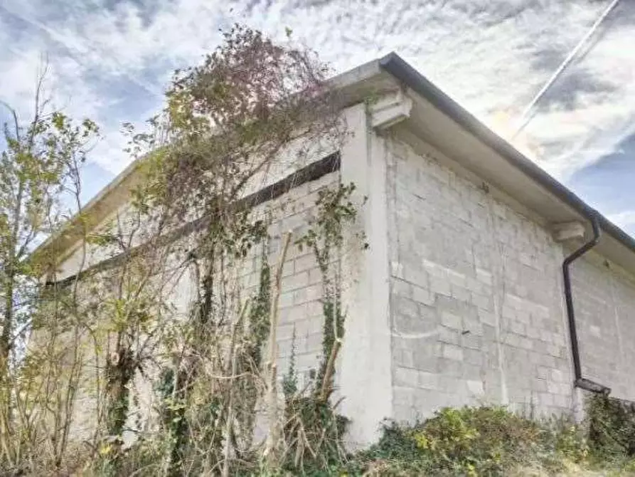 Immagine 6 di Magazzino in vendita  in Località Borghetto Fenigli a Pergola