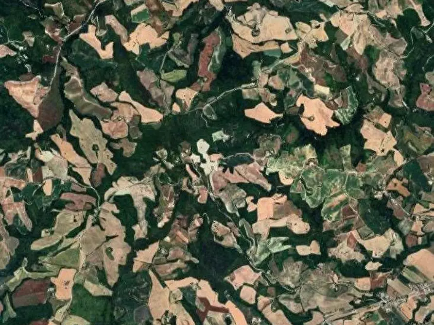 Immagine 9 di Magazzino in vendita  in Località Borghetto Fenigli a Pergola