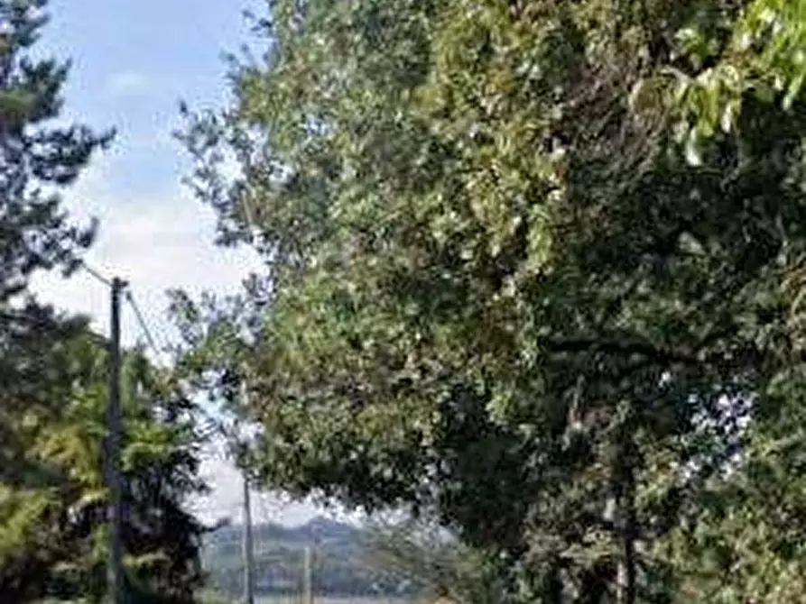 Immagine 2 di Capannone industriale in vendita  in Via degli Orciari a Colli Al Metauro