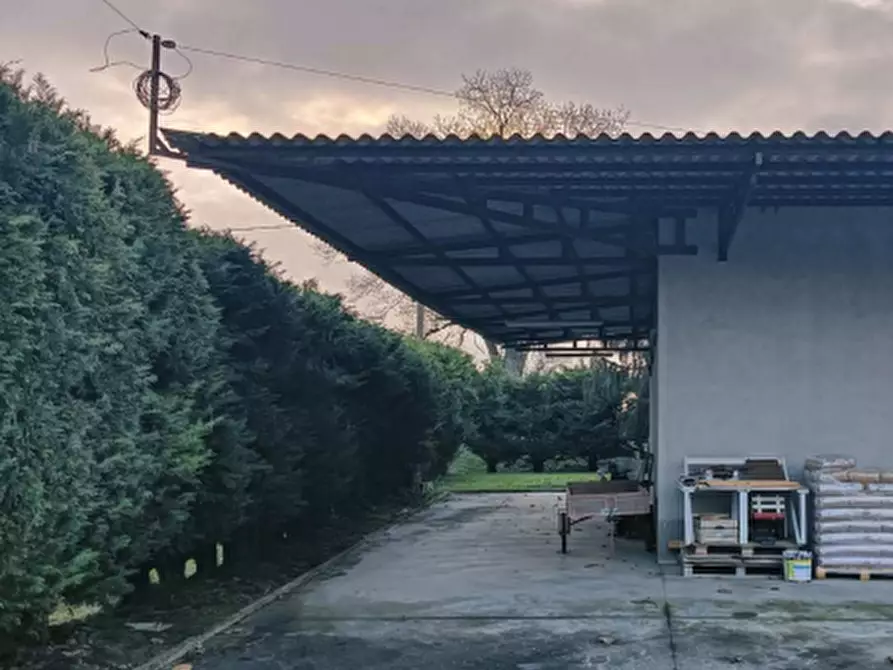 Immagine 3 di Capannone industriale in vendita  in Via Reale  a Conselice