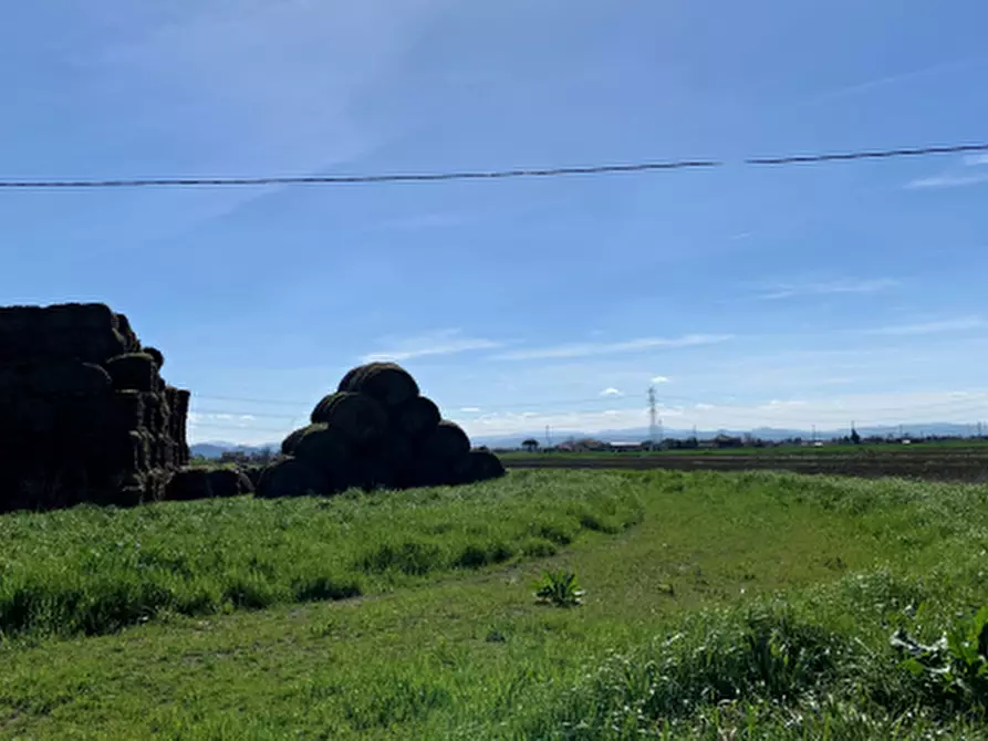 Immagine 2 di Terreno agricolo in vendita  in Via Erbosa a Ravenna