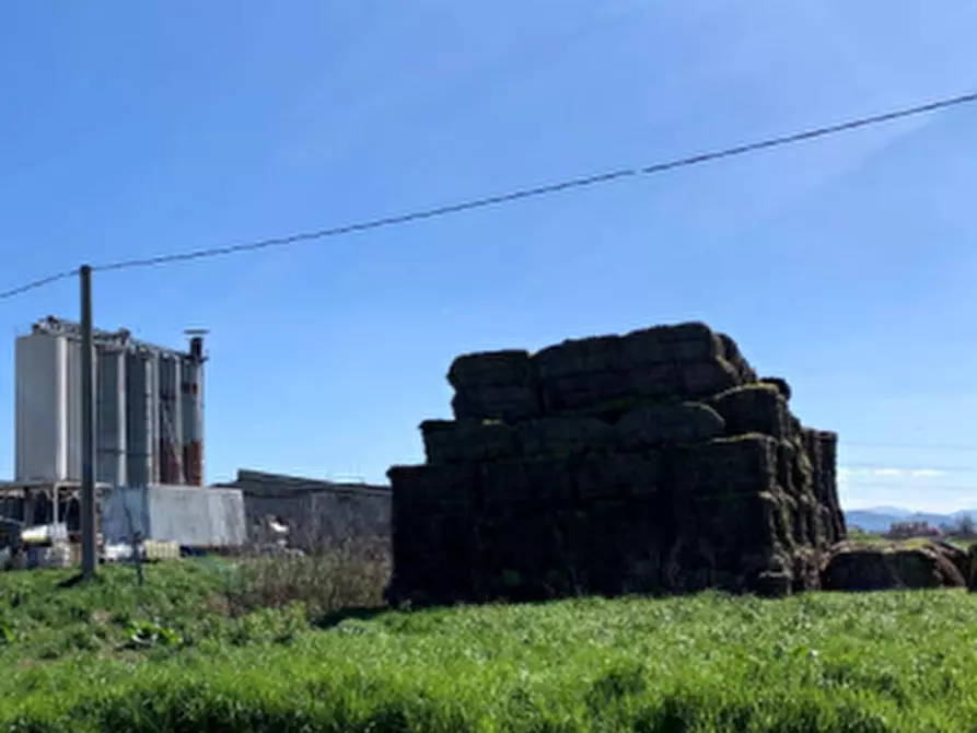 Immagine 3 di Terreno agricolo in vendita  in Via Erbosa a Ravenna