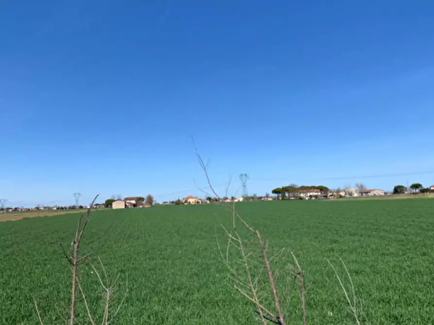 Immagine 4 di Terreno agricolo in vendita  in Via Erbosa a Ravenna