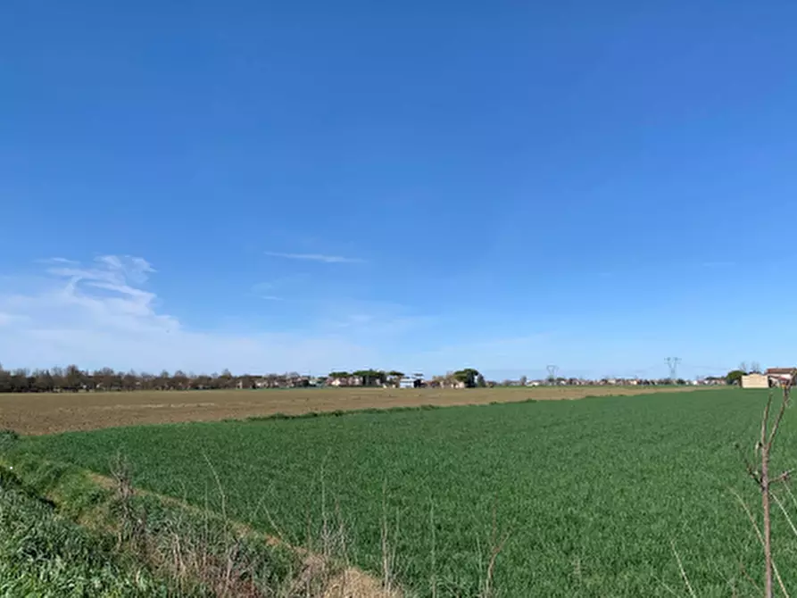 Immagine 5 di Terreno agricolo in vendita  in Via Erbosa a Ravenna