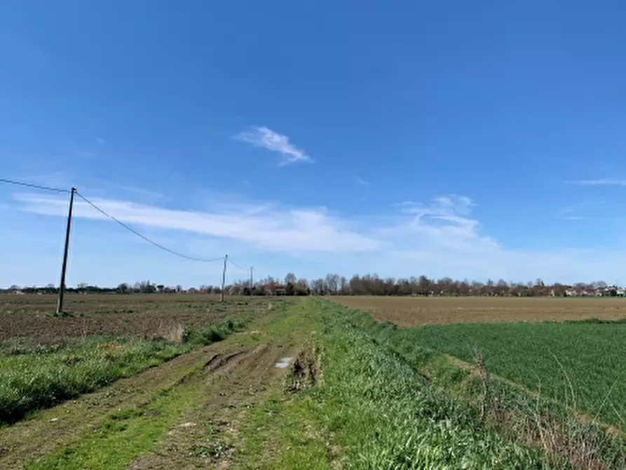 Immagine 6 di Terreno agricolo in vendita  in Via Erbosa a Ravenna