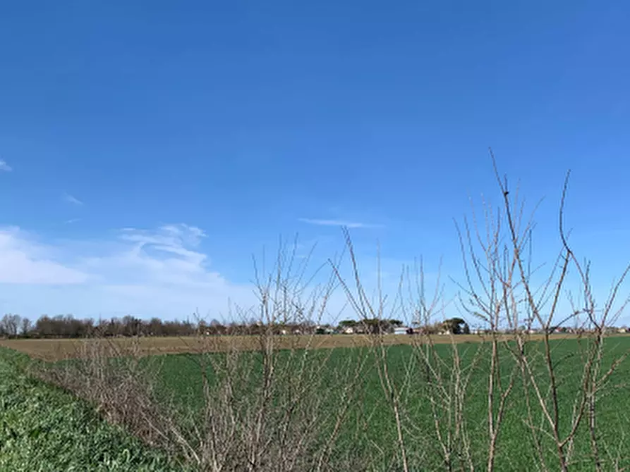 Immagine 7 di Terreno agricolo in vendita  in Via Erbosa a Ravenna
