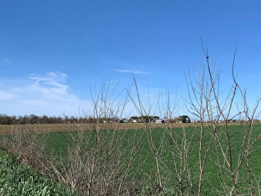 Immagine 8 di Terreno agricolo in vendita  in Via Erbosa a Ravenna