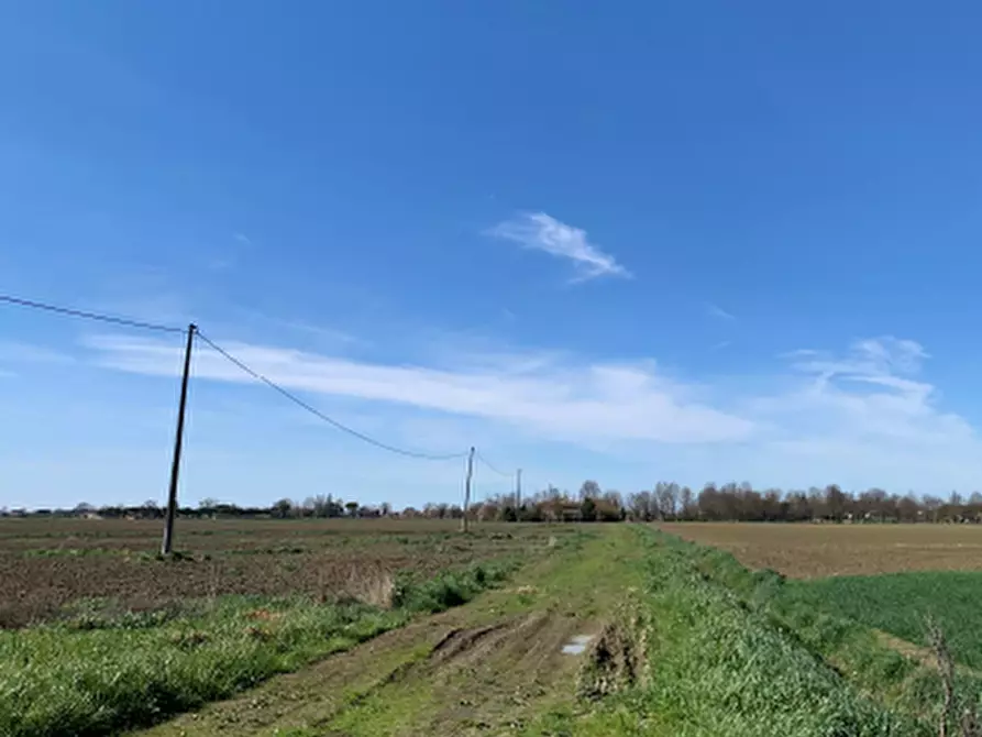 Immagine 9 di Terreno agricolo in vendita  in Via Erbosa a Ravenna