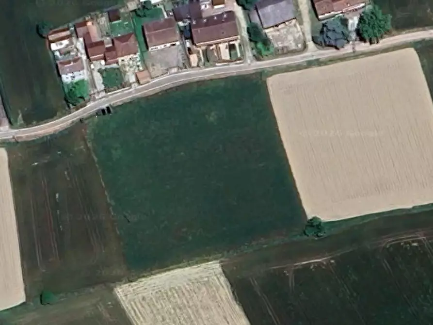 Immagine 8 di Terreno agricolo in vendita  in Cava Manara a Cava Manara