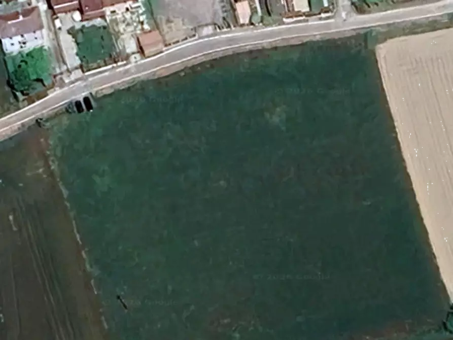 Immagine 9 di Terreno agricolo in vendita  in Cava Manara a Cava Manara