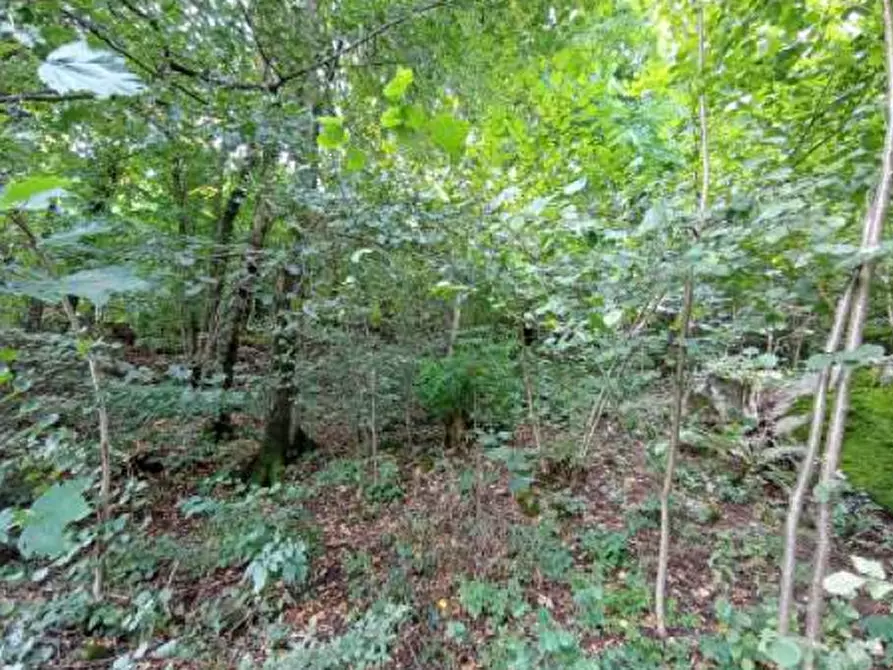 Immagine 1 di Terreno agricolo in vendita  in Località Castelmarte a Castelmarte