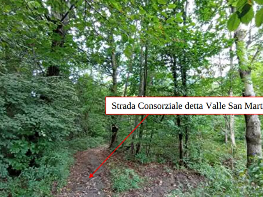 Immagine 4 di Terreno agricolo in vendita  in Località Castelmarte a Castelmarte