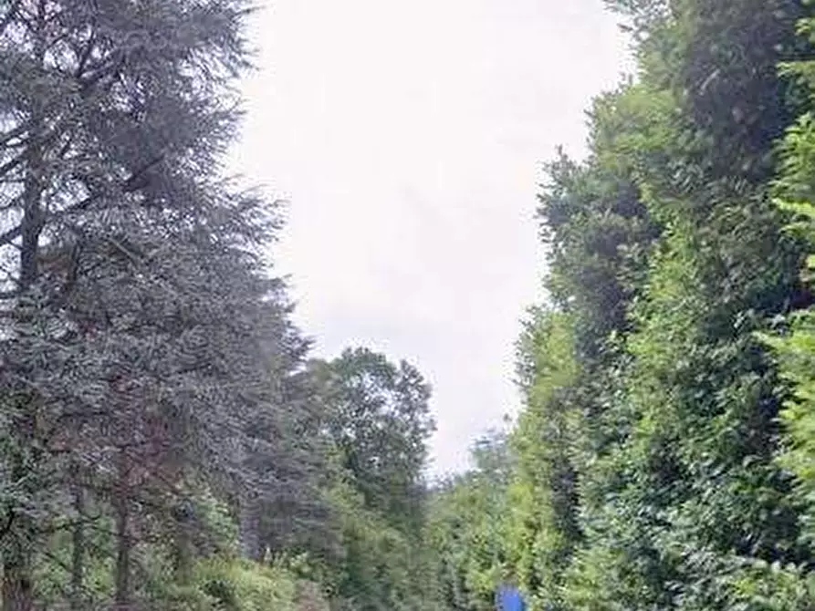 Immagine 11 di Villa in vendita  in Strada del Mainero a Torino