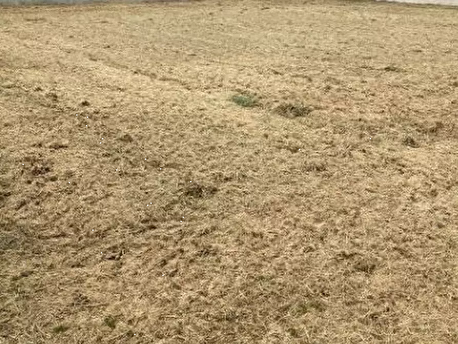 Immagine 3 di Terreno edificabile in vendita  a Curtatone