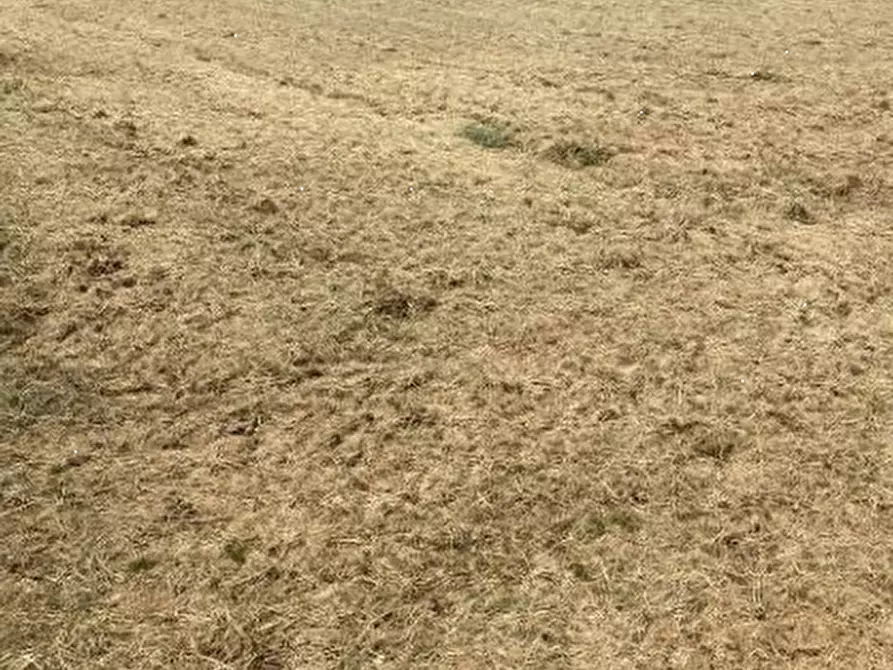 Immagine 4 di Terreno edificabile in vendita  a Curtatone