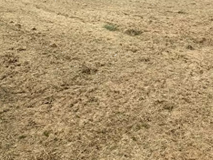 Immagine 5 di Terreno edificabile in vendita  a Curtatone