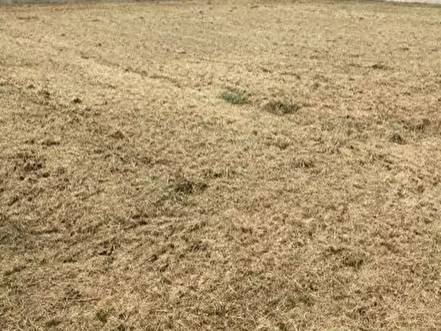 Immagine 9 di Terreno edificabile in vendita  a Curtatone