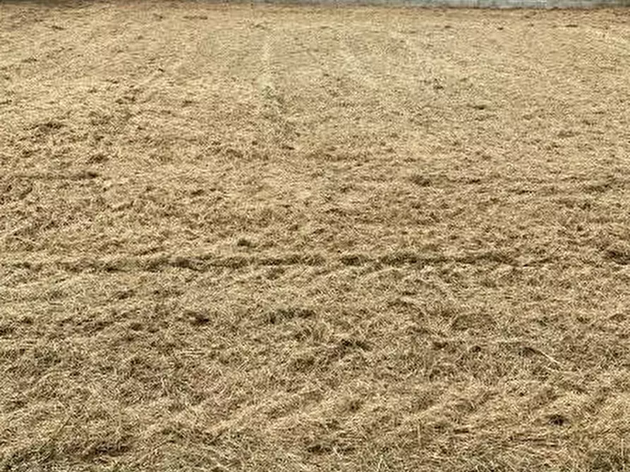 Immagine 10 di Terreno edificabile in vendita  a Curtatone