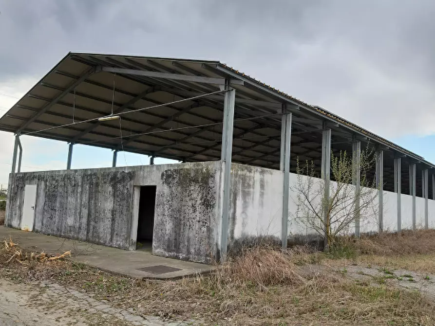 Immagine 4 di Terreno agricolo in vendita  in Via Levada a Fonte