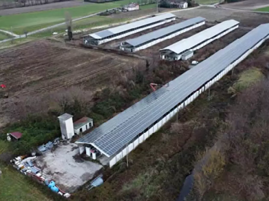 Immagine 8 di Terreno agricolo in vendita  in Via Levada a Fonte