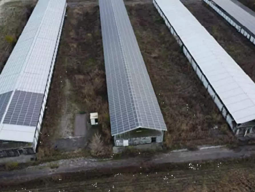Immagine 10 di Terreno agricolo in vendita  in Via Levada a Fonte