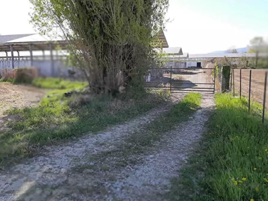 Immagine 11 di Terreno agricolo in vendita  in Via Levada a Fonte