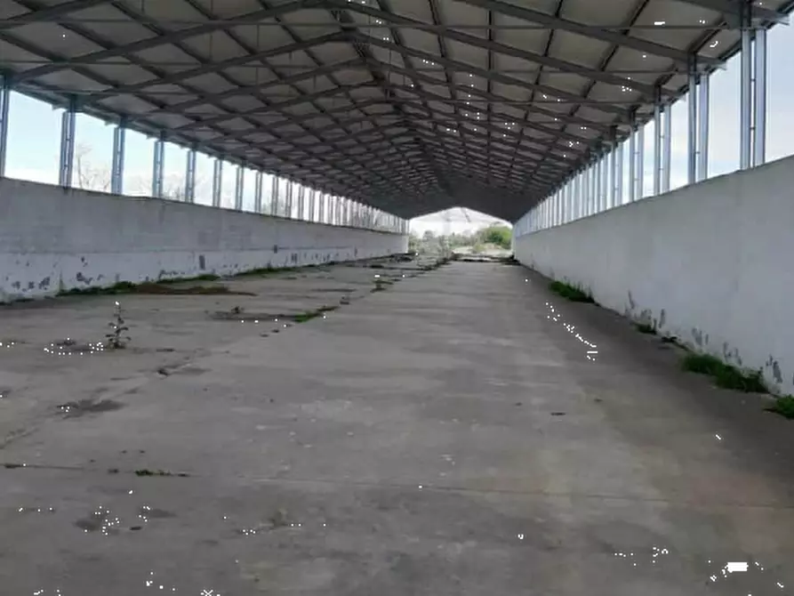 Immagine 12 di Terreno agricolo in vendita  in Via Levada a Fonte