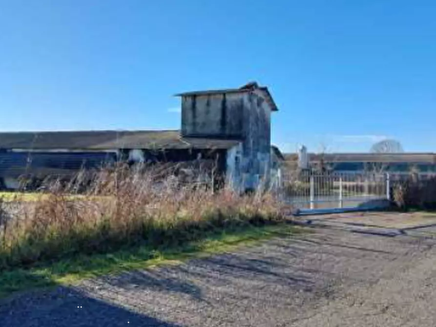 Immagine 1 di Capannone industriale in vendita  in Via Brenton a Loria