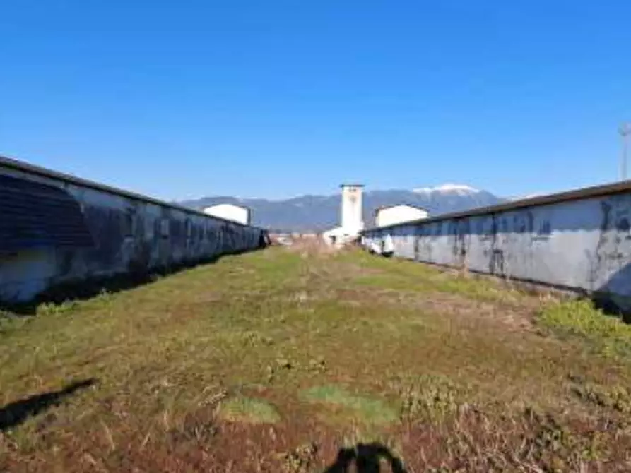 Immagine 3 di Capannone industriale in vendita  in Via Brenton a Loria