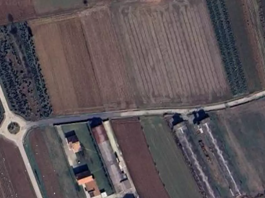 Immagine 11 di Capannone industriale in vendita  in Via Brenton a Loria