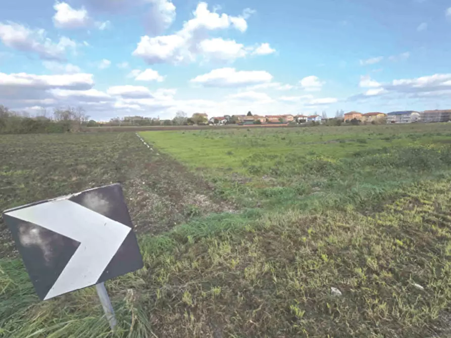 Immagine 3 di Terreno agricolo in vendita  in Via Genova a Mondolfo