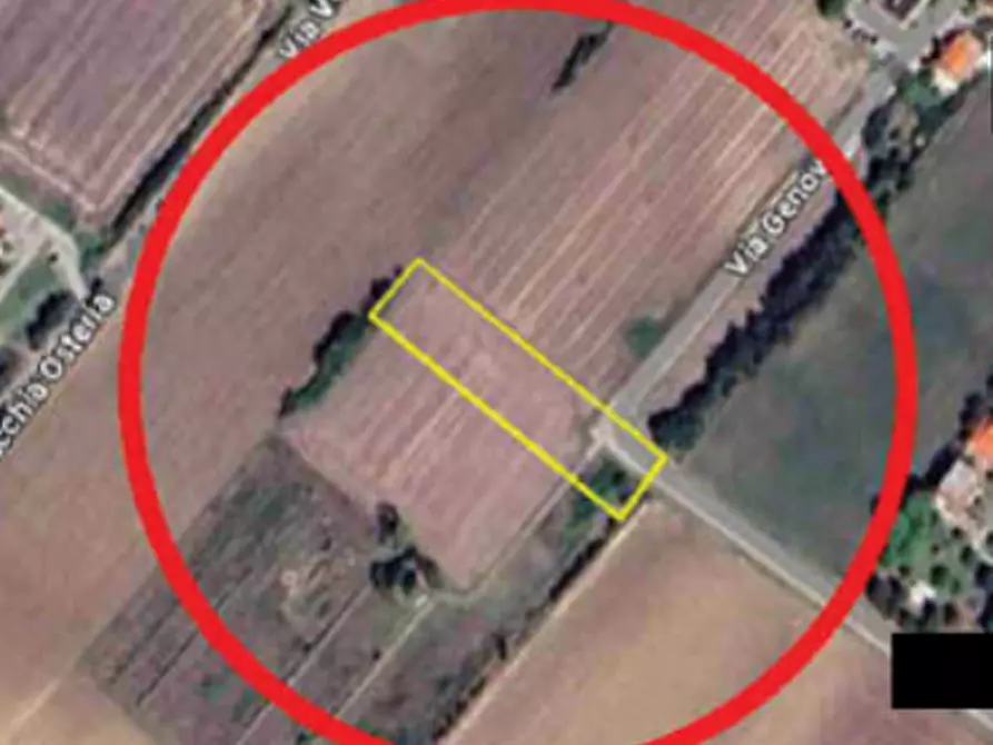 Immagine 4 di Terreno agricolo in vendita  in Via Genova a Mondolfo
