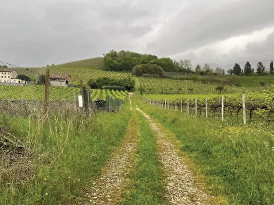 Immagine 1 di Terreno agricolo in vendita  in Via Pra' da Forno a Cappella Maggiore