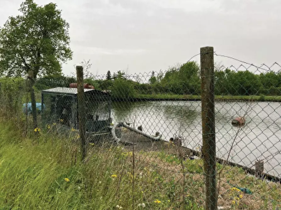 Immagine 9 di Terreno agricolo in vendita  in Via Pra' da Forno a Cappella Maggiore