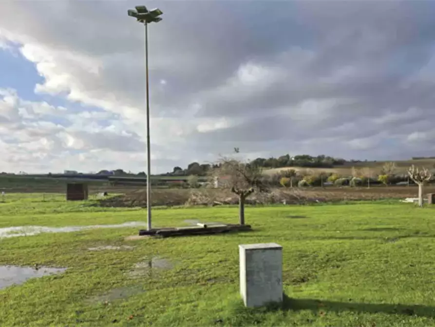 Immagine 1 di Terreno agricolo in vendita  in Viale Europa  a Mondolfo