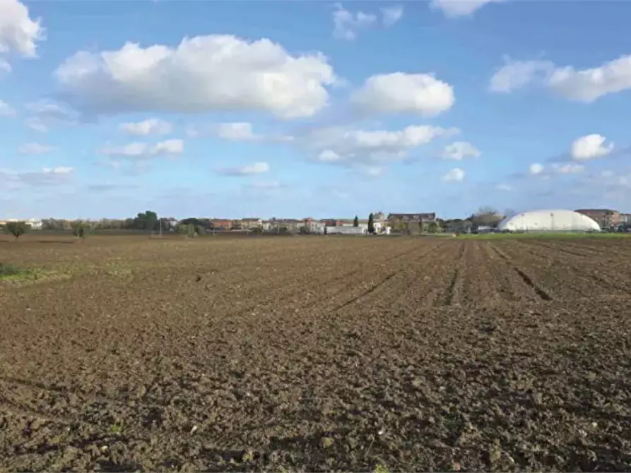 Immagine 2 di Terreno agricolo in vendita  in Viale Europa  a Mondolfo