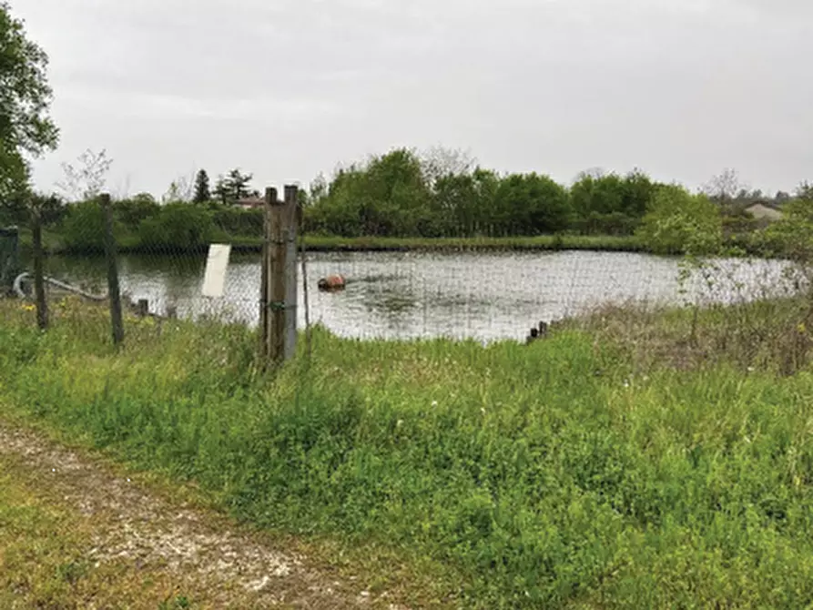 Immagine 16 di Terreno agricolo in vendita  in Via Pra' da Forno a Cappella Maggiore