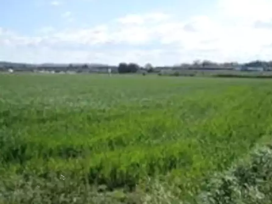 Immagine 3 di Terreno edificabile in vendita  in Viale Europa a Mondolfo