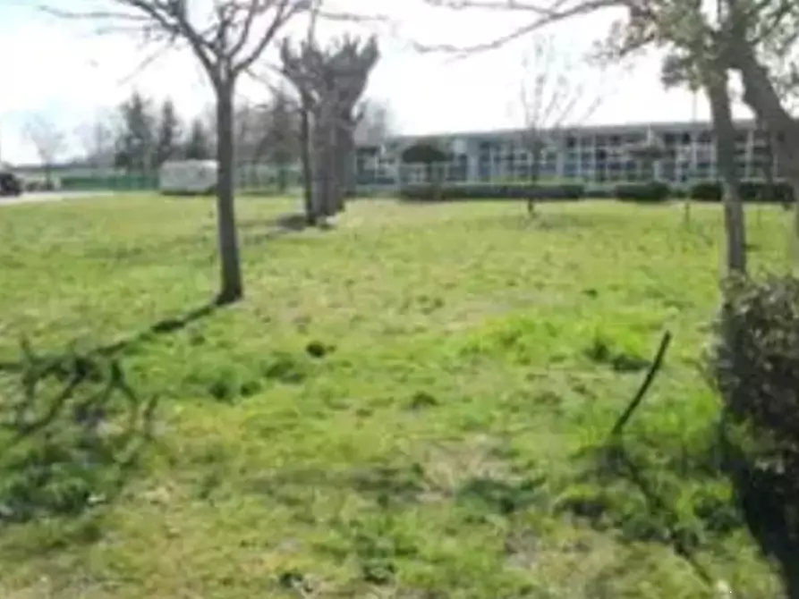 Immagine 4 di Terreno edificabile in vendita  in Viale Europa a Mondolfo