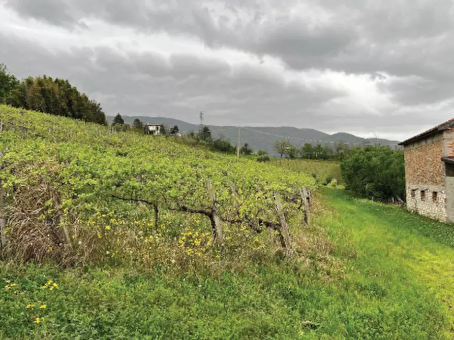 Immagine 6 di Terreno agricolo in vendita  in Via Rive Zacchi a Cappella Maggiore
