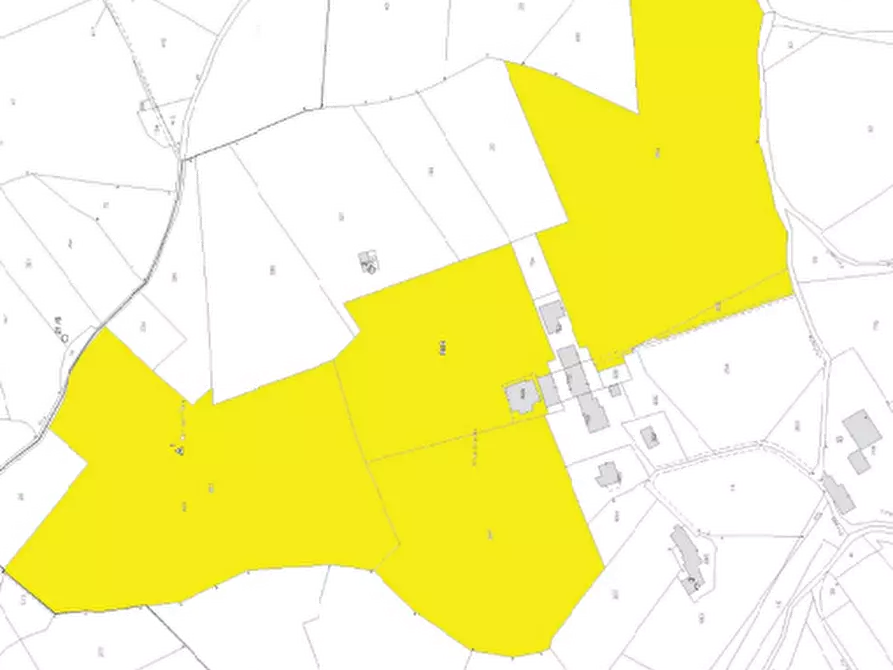 Immagine 10 di Terreno agricolo in vendita  in Via Rive Zacchi a Cappella Maggiore