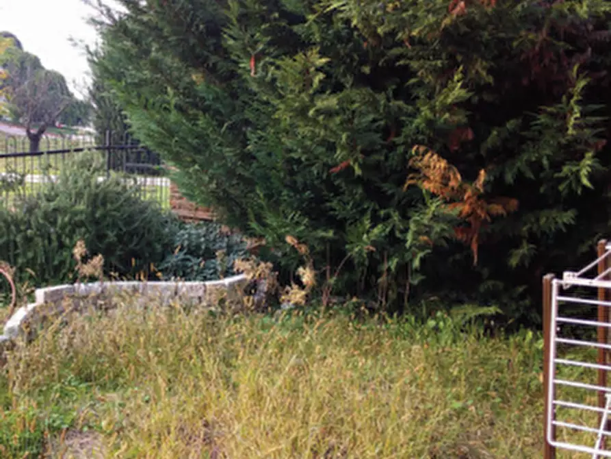 Immagine 5 di Appartamento in vendita  in Via San Rocco a Roncade