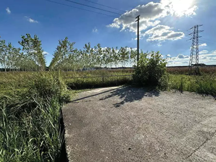 Immagine 2 di Terreno agricolo in vendita  in Strada Provinciale  a Mogliano Veneto