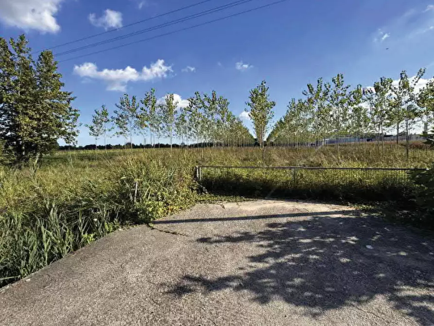 Immagine 3 di Terreno agricolo in vendita  in Strada Provinciale  a Mogliano Veneto