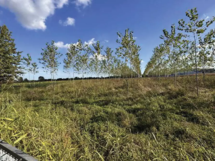 Immagine 1 di Terreno agricolo in vendita  in Strada Provinciale  a Mogliano Veneto